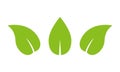 Green leaf icon set. Leaves silhouette. Eco, organic, bio symbol. Vector illustration. Royalty Free Stock Photo